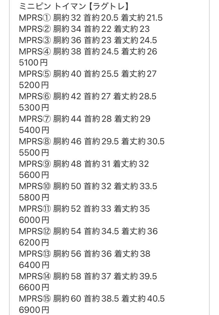 ⑱ボーダーショートスリーブ