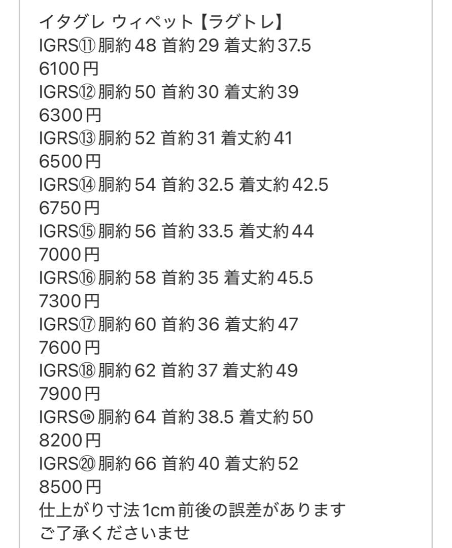 ⑱ボーダーショートスリーブ