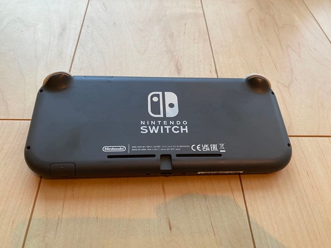 Nintendo Switch Lite 本体+オプションセット_スイッチライト