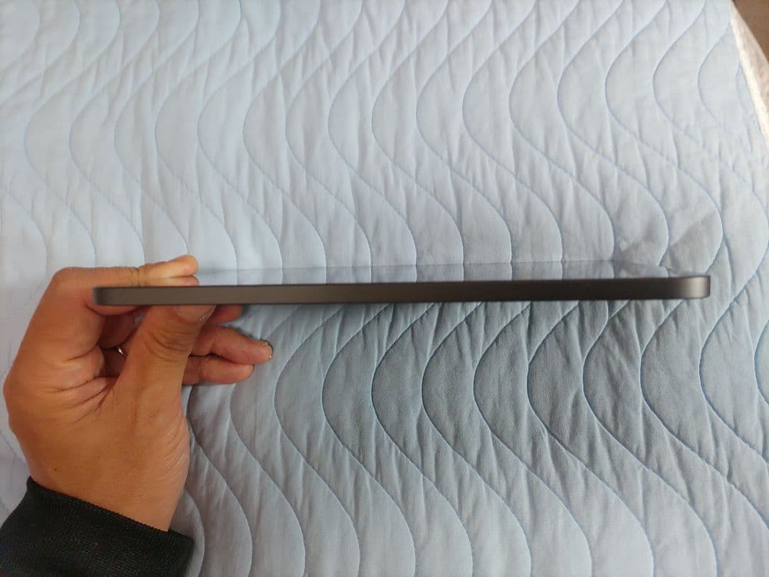 iPad mini6 第6世代 Wi-Fiモデル 256GB 美品 即購入可