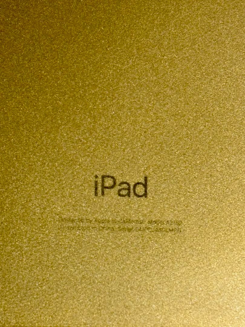 APPLE iPad Air IPAD AIR WI-FI 256GB 指紋認証