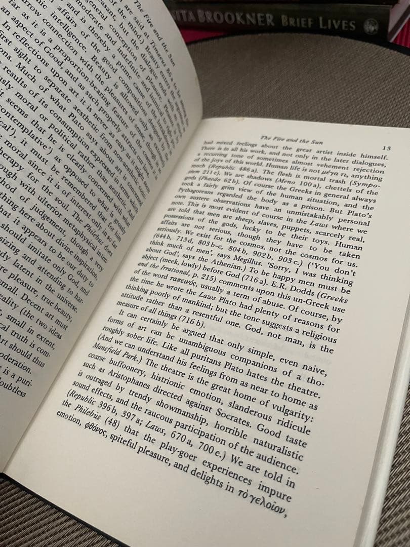 希少　Iris Murdoch The fire & the sun