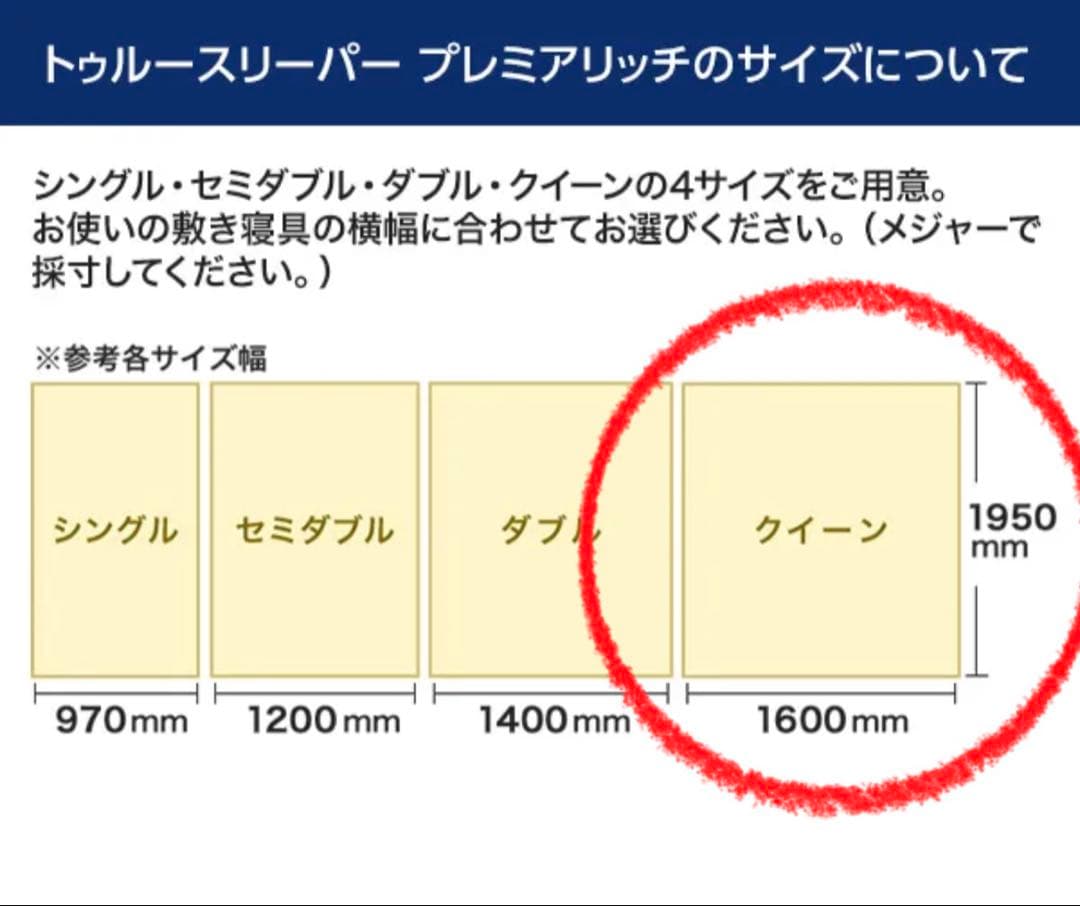 トゥルースリーパー プレミアリッチpr.2 洗えるプラス　クイーン