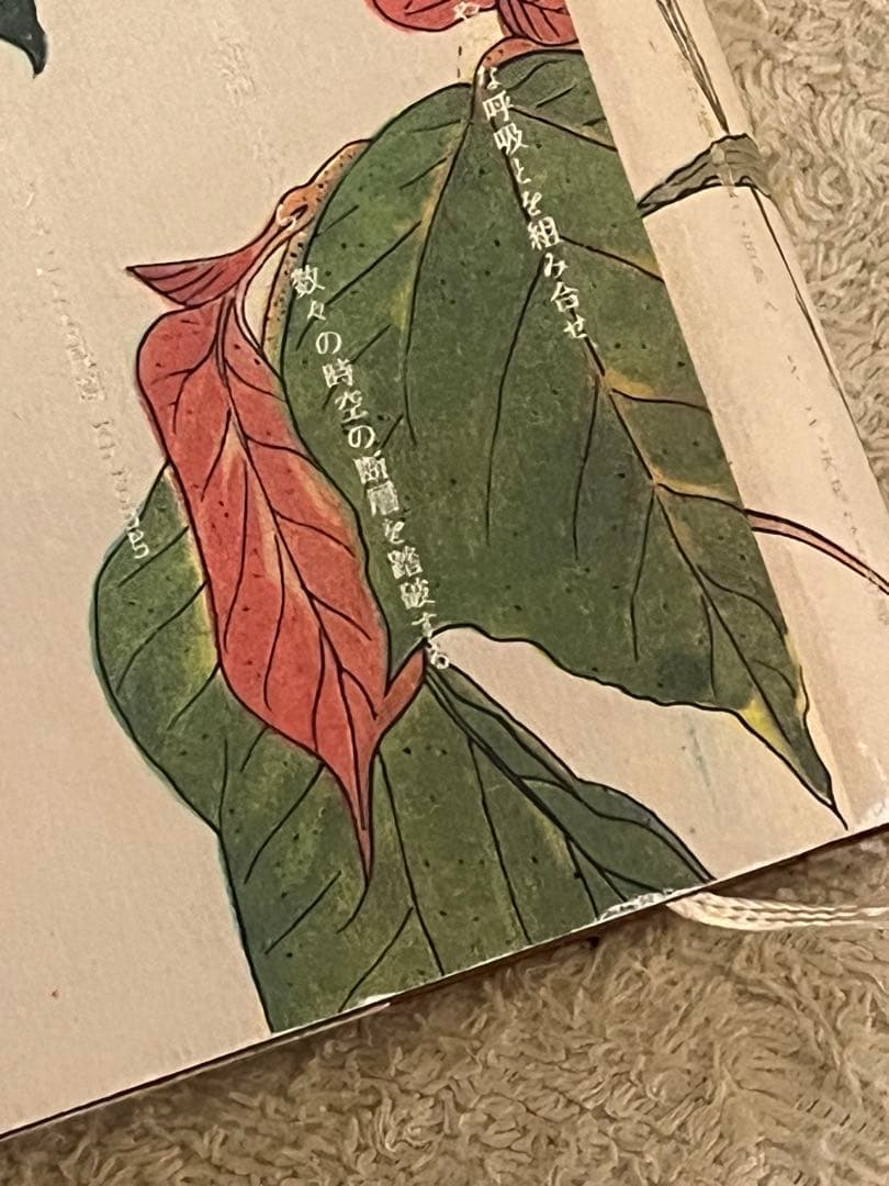 鳥を探しに　平出隆