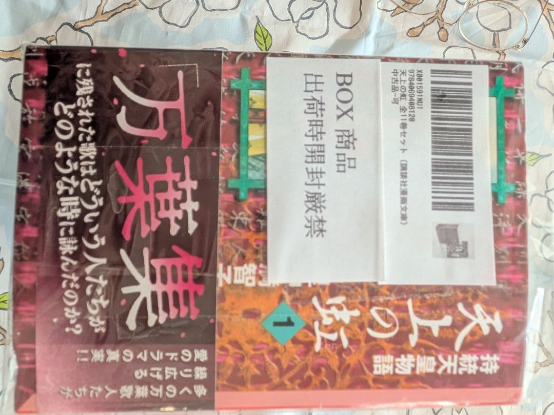 【期間限定価格】天上の虹 全11巻 里中満智子