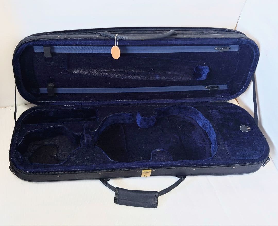 cecilio サイレント エレキ バイオリン HVPV-30