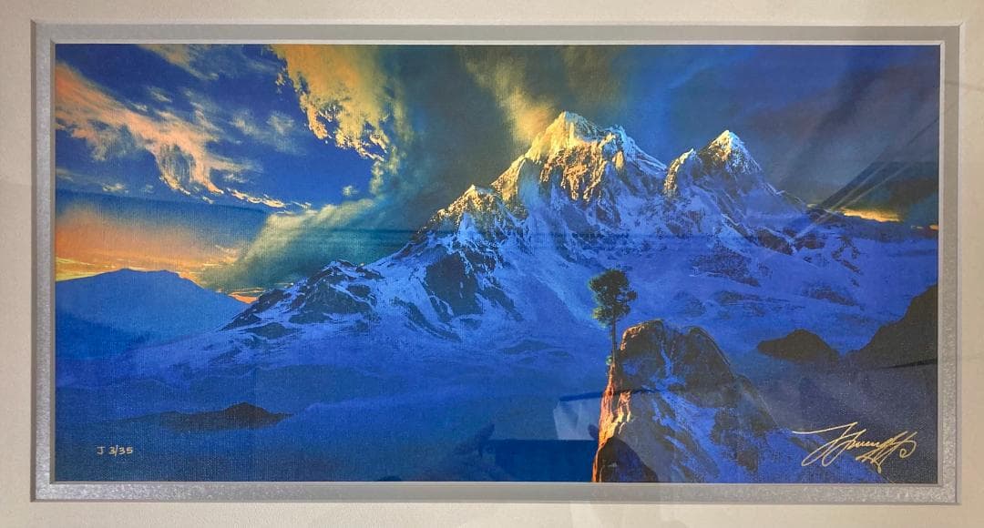 HFD2120 ★証明書付・美品★ デイル ターブッシュ 神の秘密