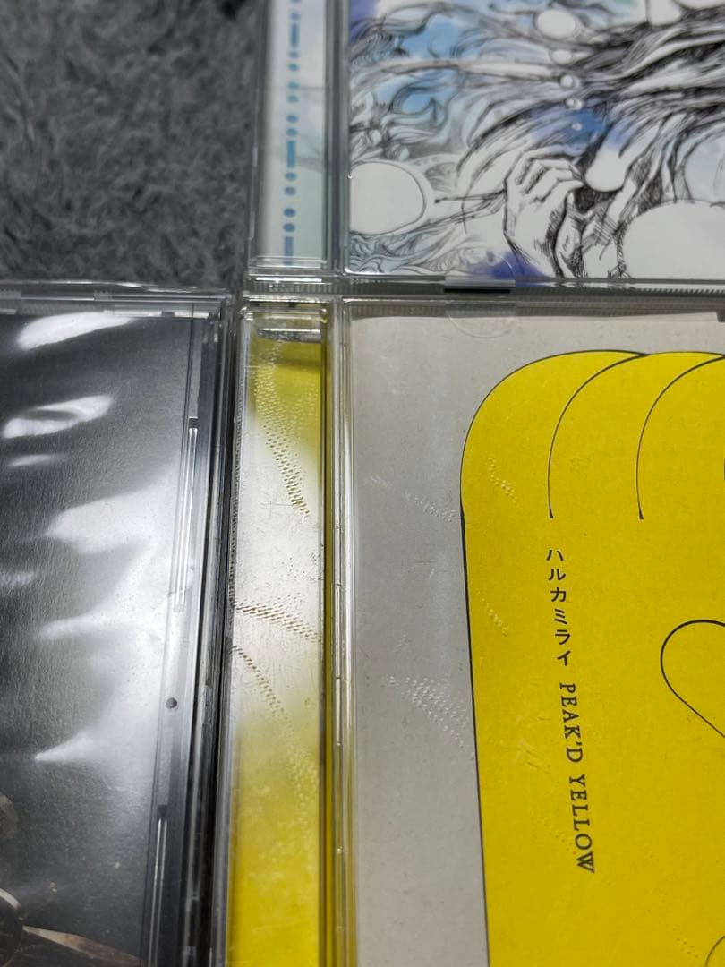 ハルカミライ まとめ売り CD DVD セット