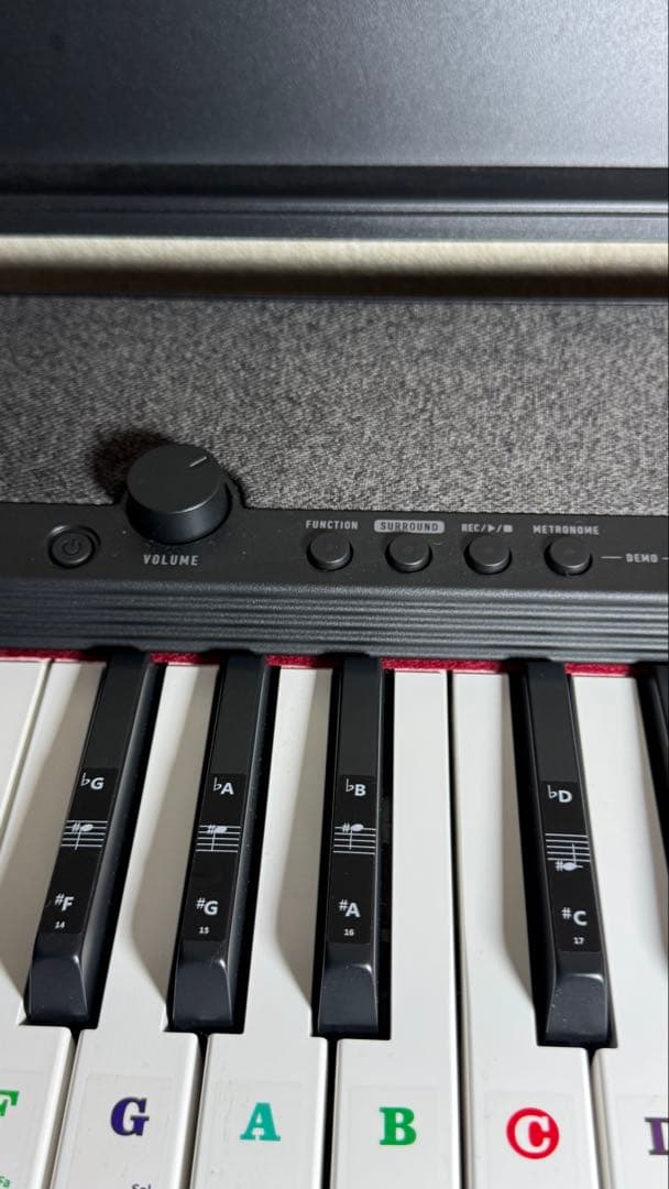 鍵盤楽器 Casiotone CT-S1BK