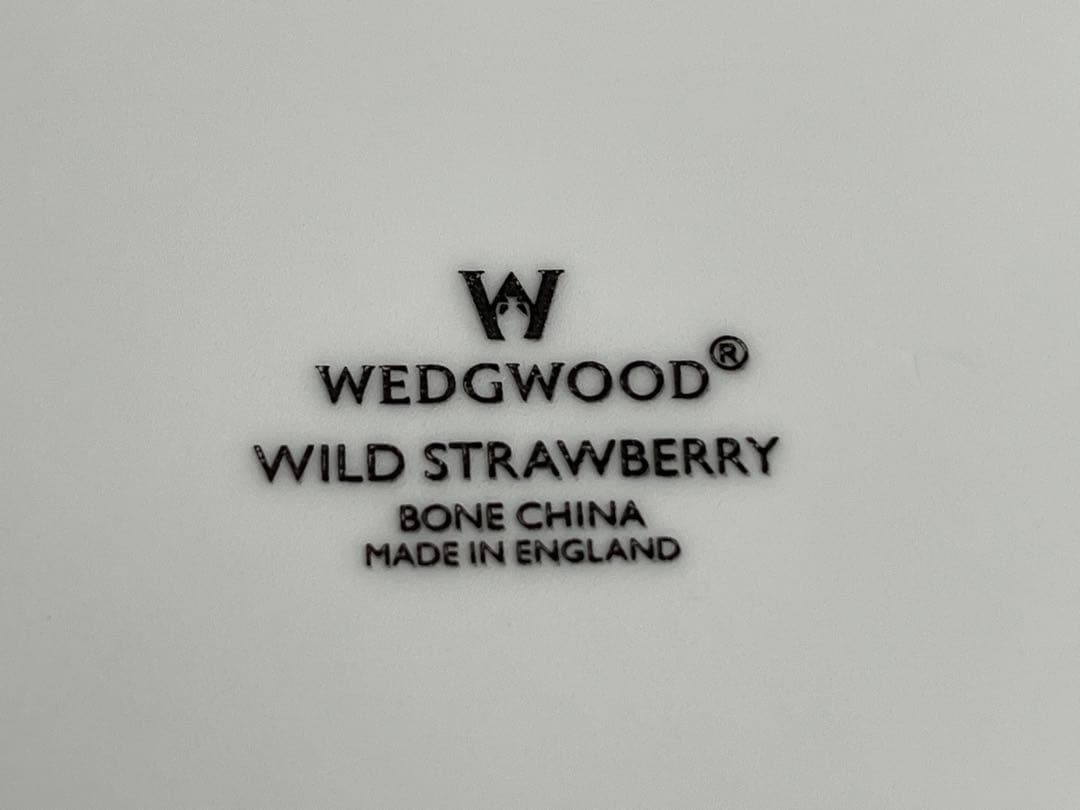  WILD STRAWBERRY 食器セット 5点