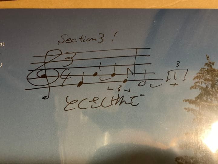 【とくさしけんご MUSIC FOR SAUNA サイン付きレコード 特典付き】