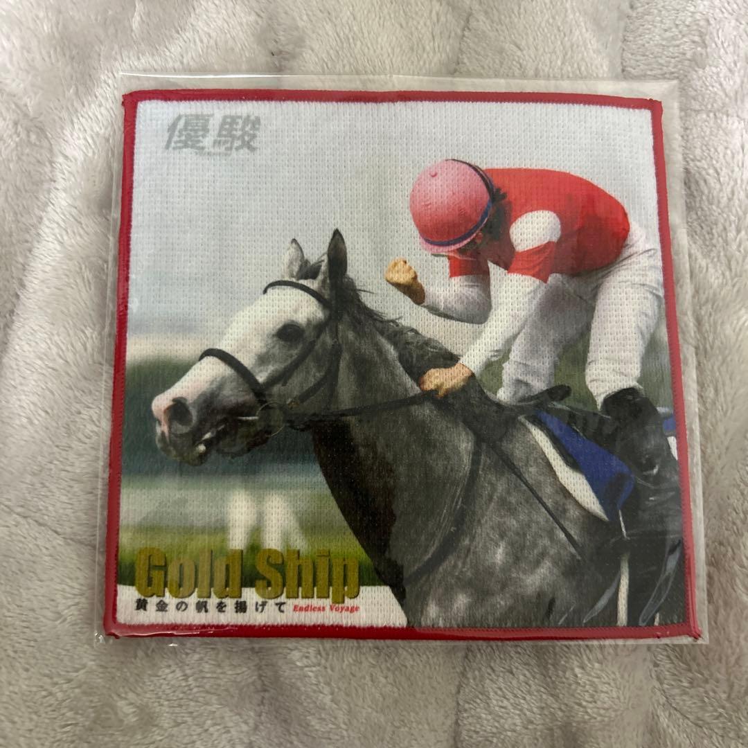 M*i様 ゴールドシップ　写真集&DVD 黄金の帆を掲げて