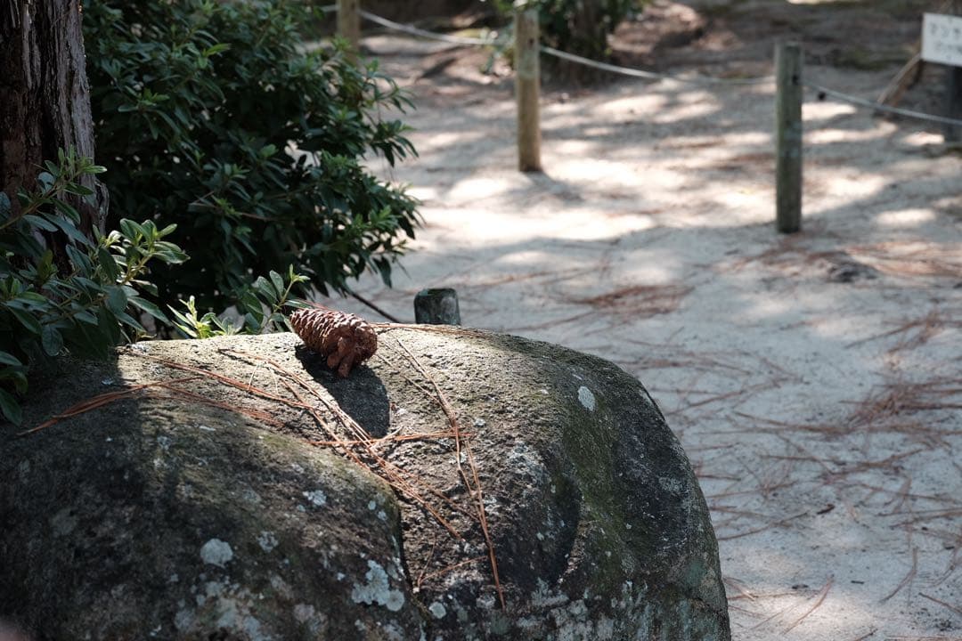 VILTROX AF 56mm F1.7 XF レンズ