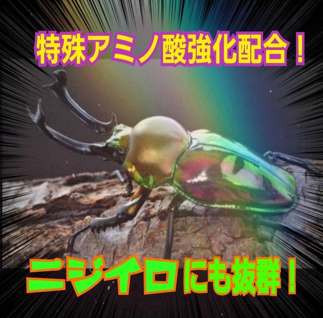 極上！ヒマラヤひらたけ菌糸瓶【１０本セット】トレハロース、キトサン強化配合！