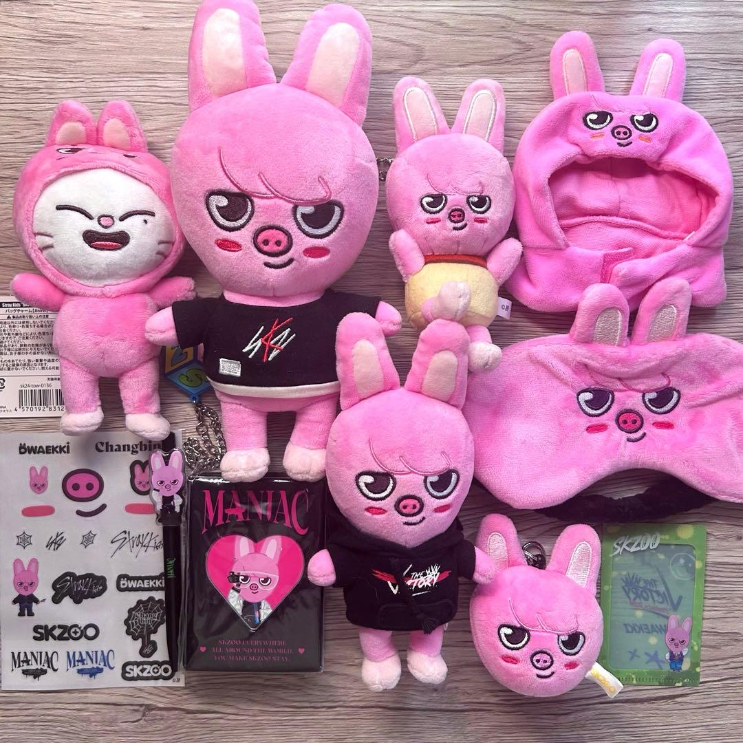 Stray kids スキズ skzooトェッキ DWAEKKI セット