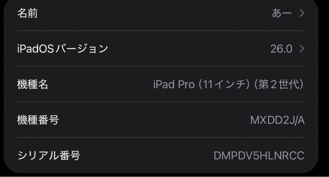 iPad Pro 11インチ 第2世代 256GB Apple