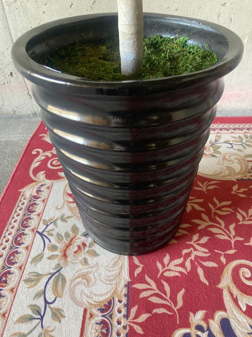 光触媒　人工観葉植物　ウォールグリーン　フェイクグリーン　パキラ15767