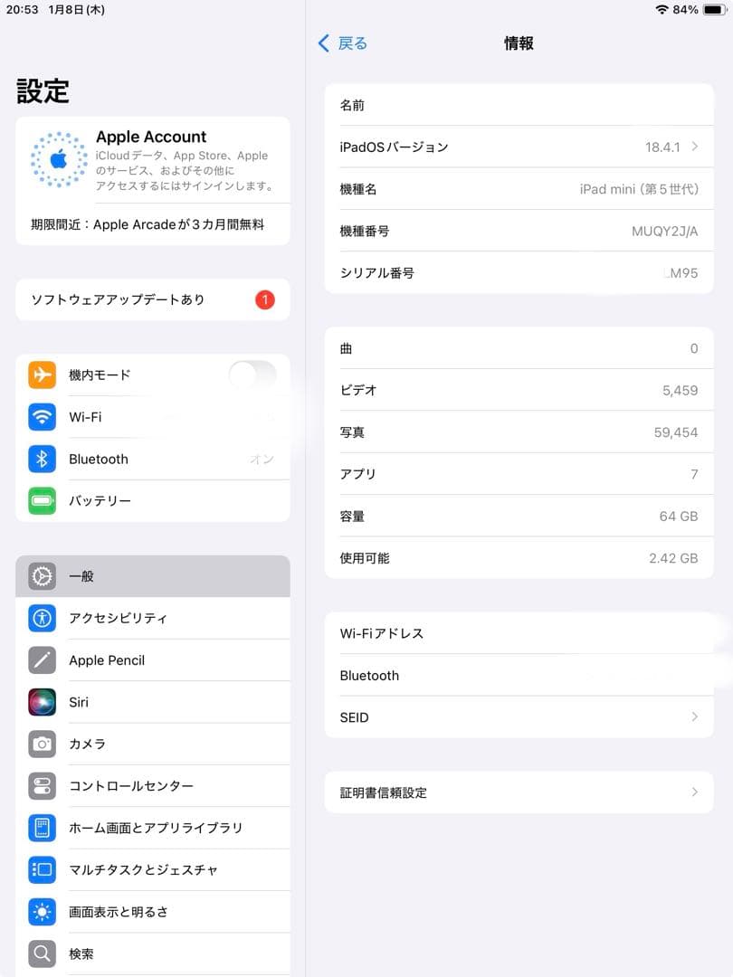 iPad mini 5 ゴールド 本体　バッテリー最大容量90％