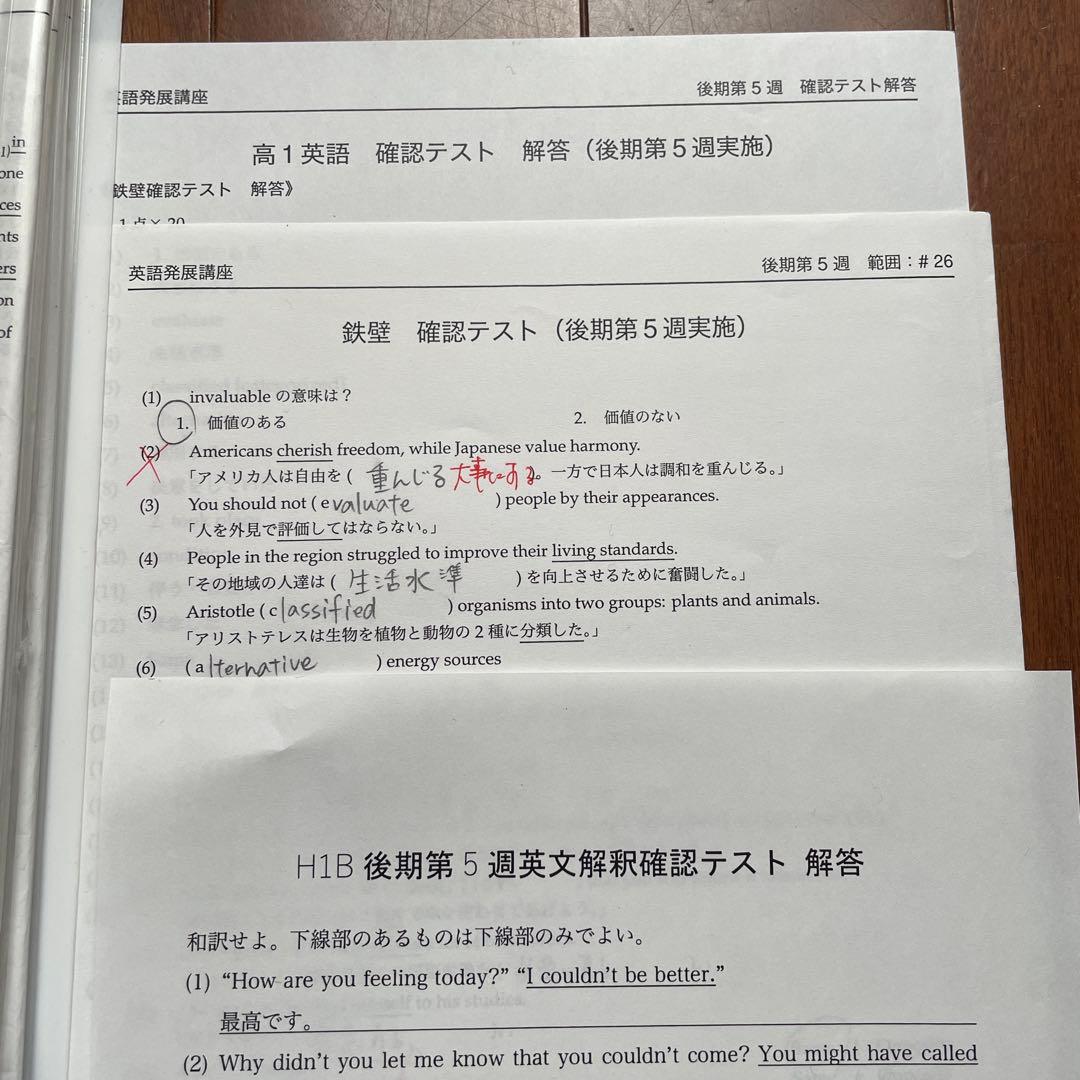 鉄緑会　高1 英語 発展講座　プリント付き　前期、後期