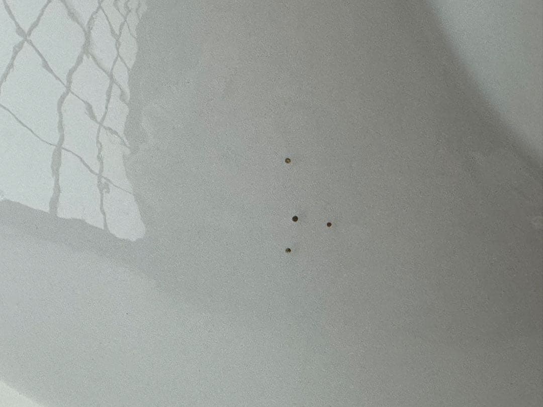 ヴィンテージ ポストモダン 巻貝 ランプシェード 昭和レトロ