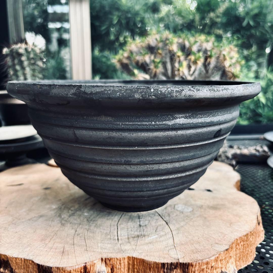 山中勇人 作家鉢 特大鉢 y鉢 アガベ パキプス グラキリス 塊根 植木鉢