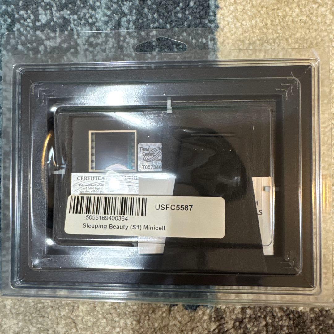 【限定2,500枚】ディズニー 映画フィルム・セル 眠れる森の美女　ミニセル