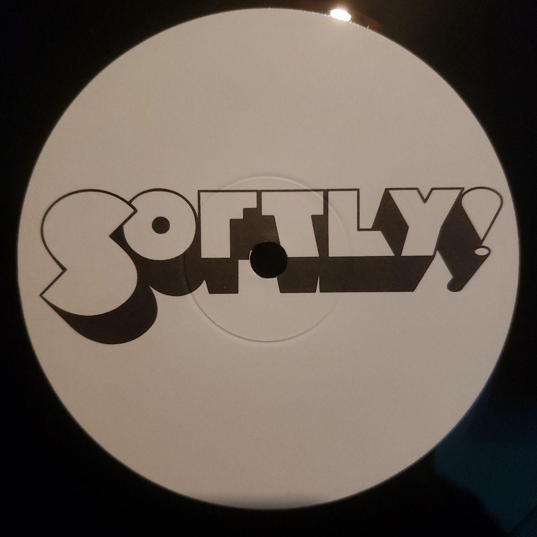 限定盤 Tribute To Flipper's Guitar