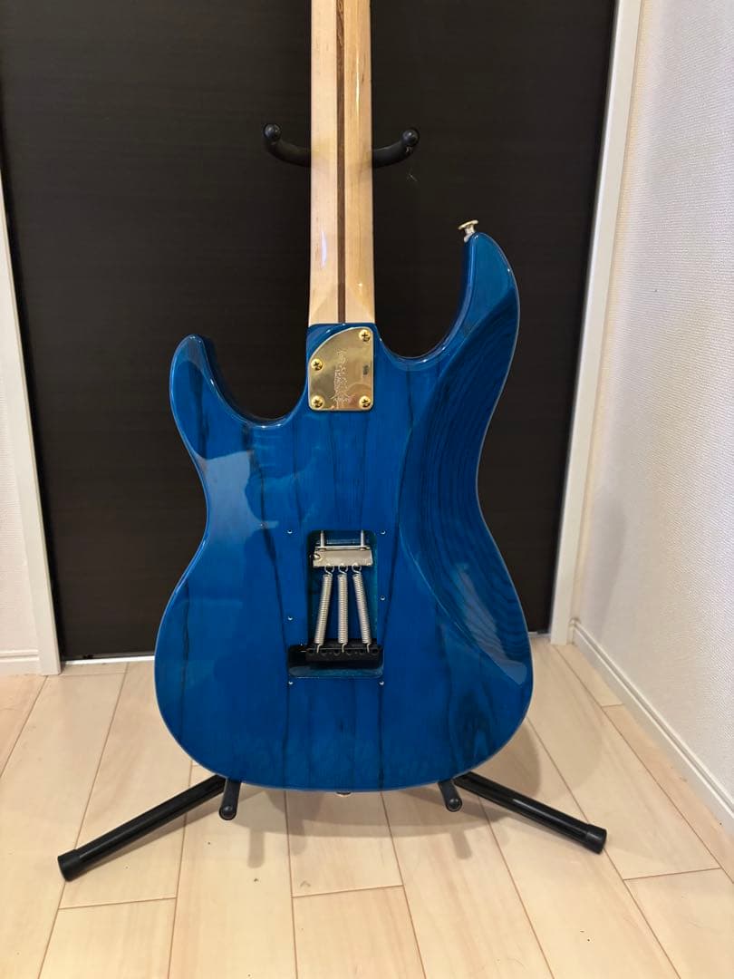 ギター Fujigen EXPERT OS