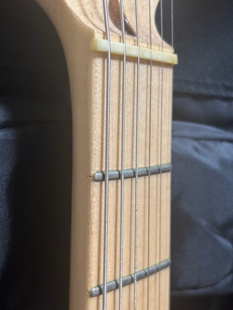 ギター Fujigen EXPERT OS