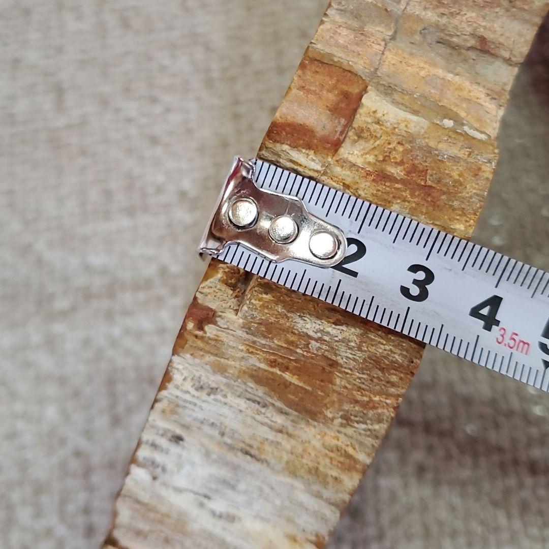 ブラジル産 珪化木 天然石 古生代末期ペルム紀 原石 植物 化石