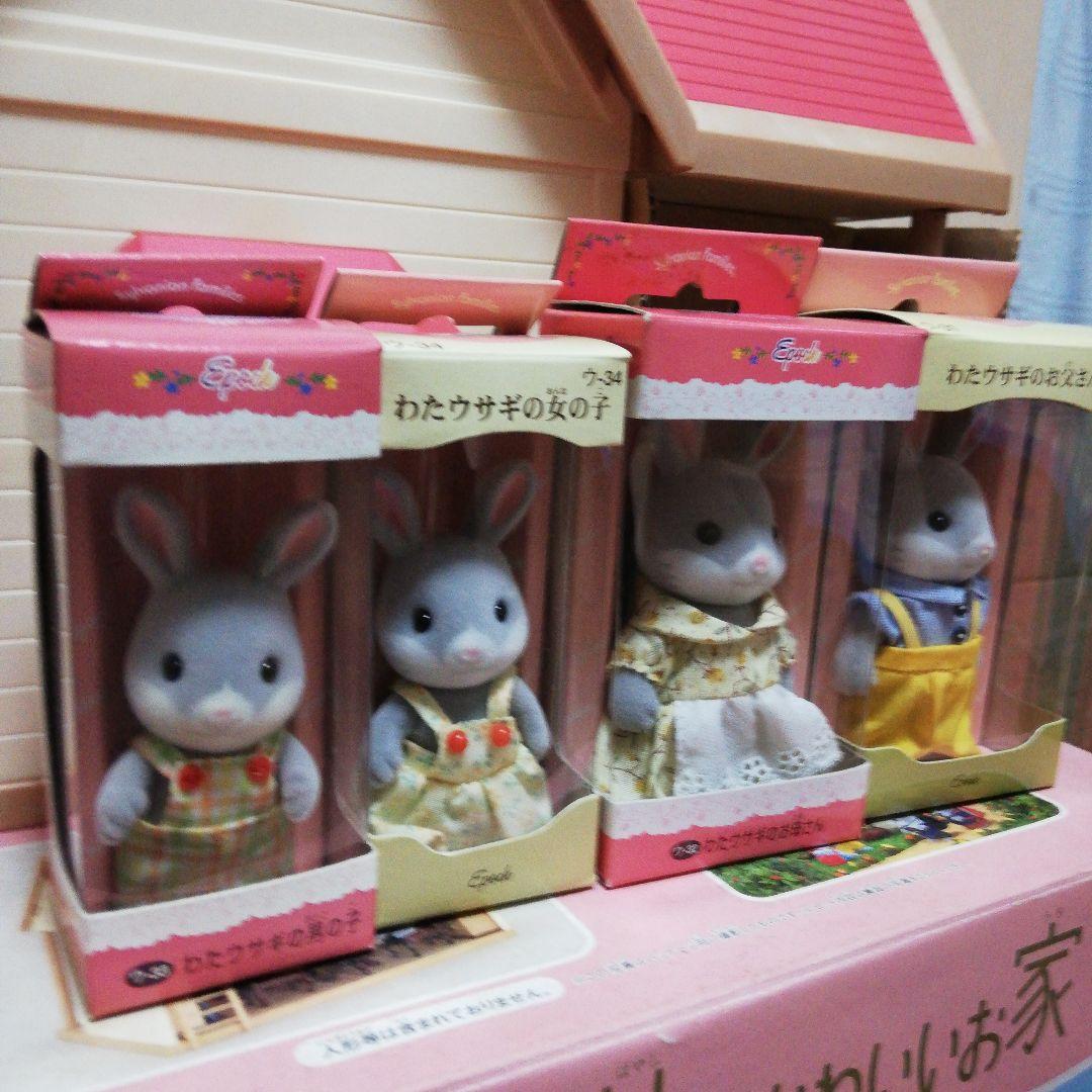 限定値下げ【廃盤品！レア品】シルバニアファミリー　きいちご林のかわいいお家➕人形
