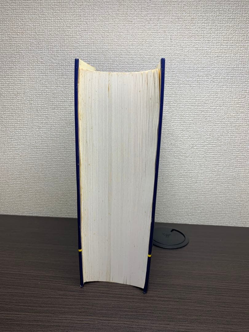 【極美】le bon usage ボンユザージュ　フランス語文法辞典