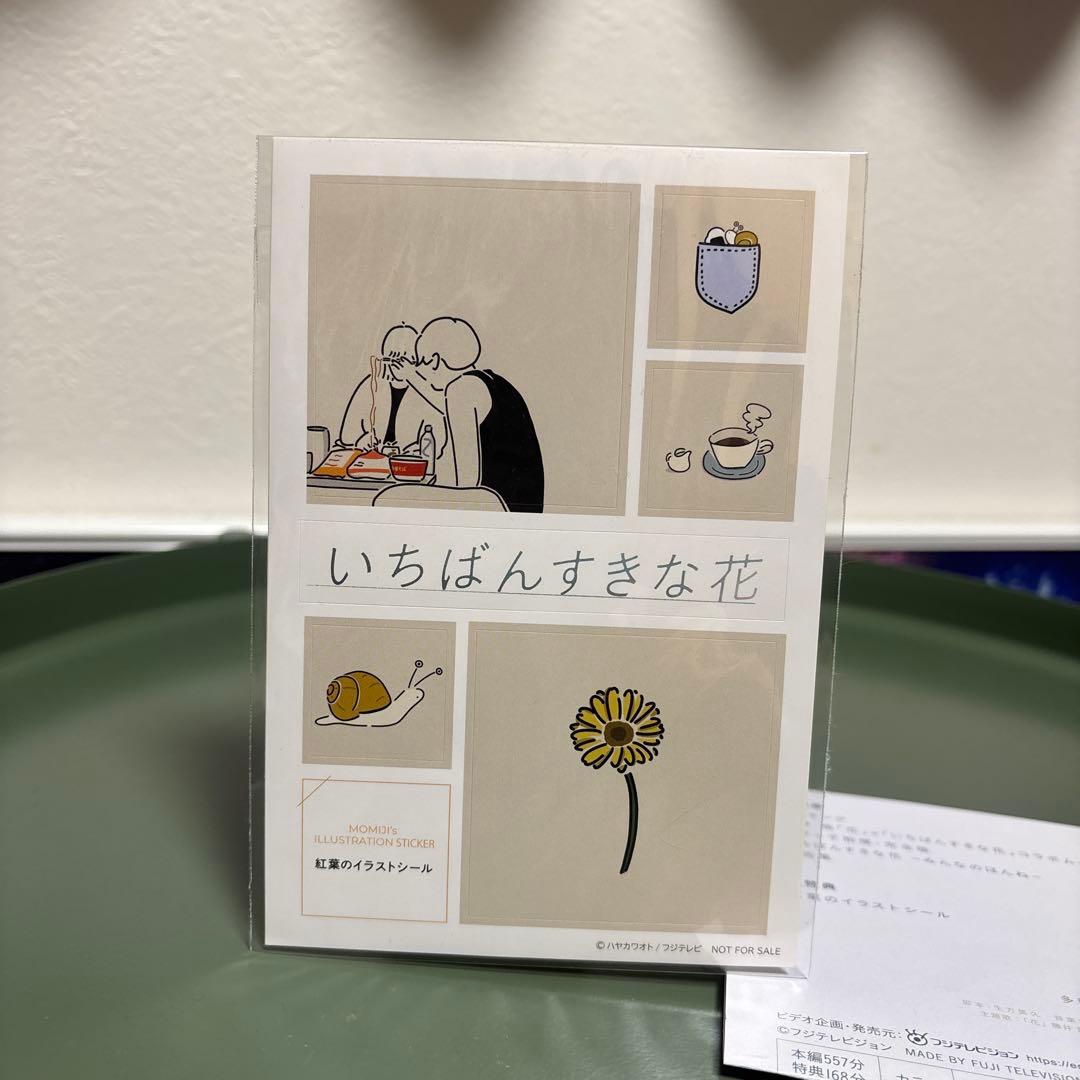 日本ドラマ　いちばんすきな花-ディレクターズカット版- DVDBOX