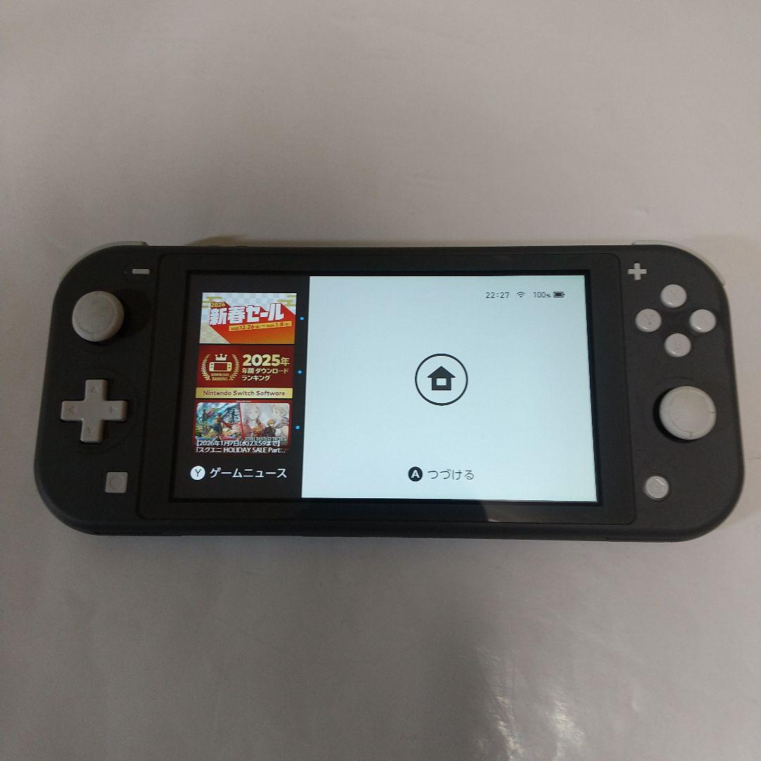 Nintendo Switch Lite グレー 本体＋純正充電器＋保護＋収納