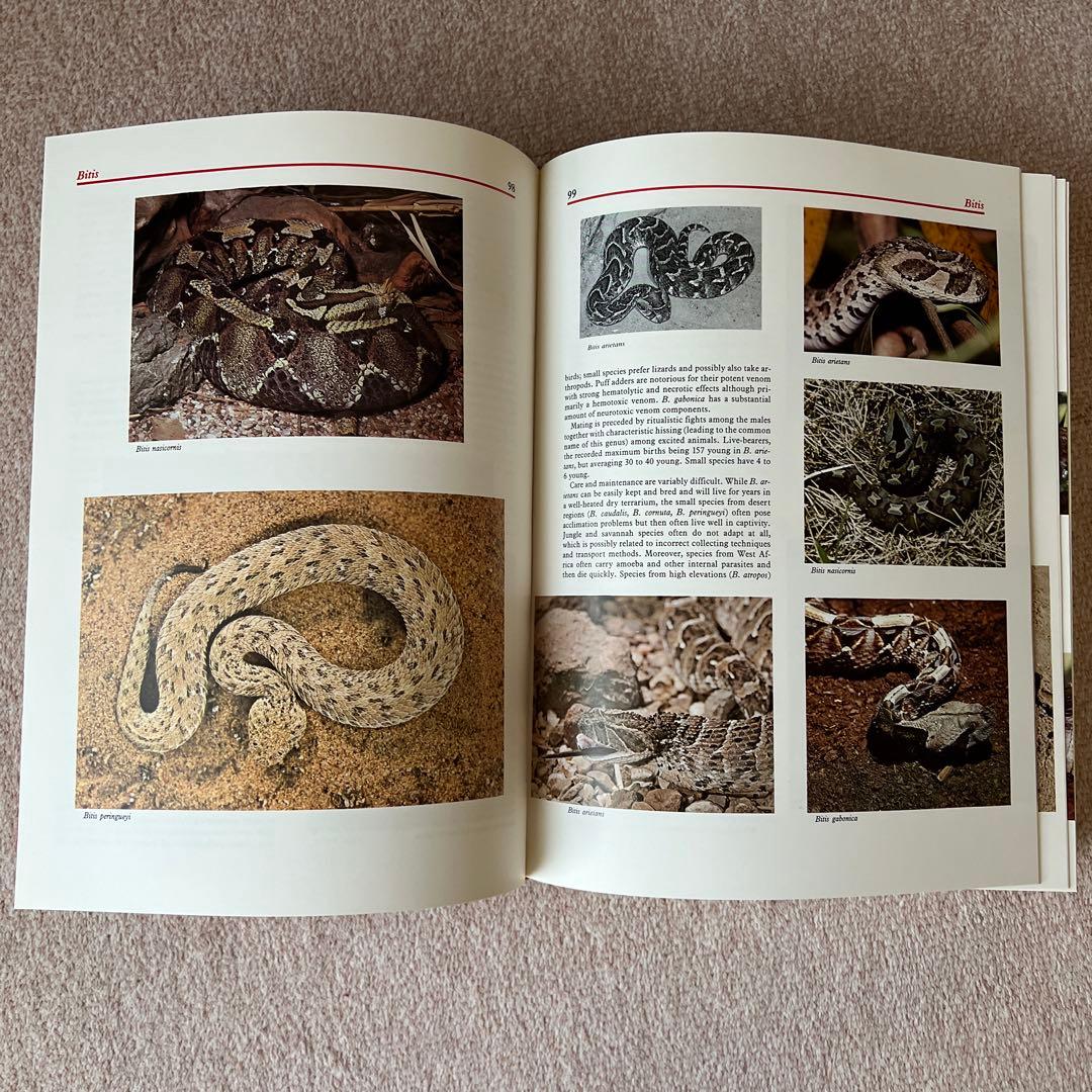 洋書　爬虫類・両生類　アトラス　大型本