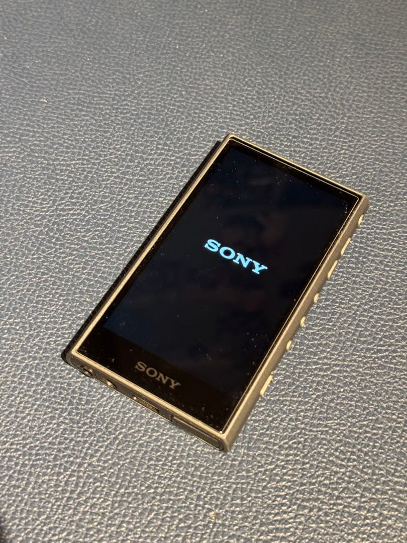 SONY ウォークマン NW-A306￼ 128GB SDカード、ケース付き！