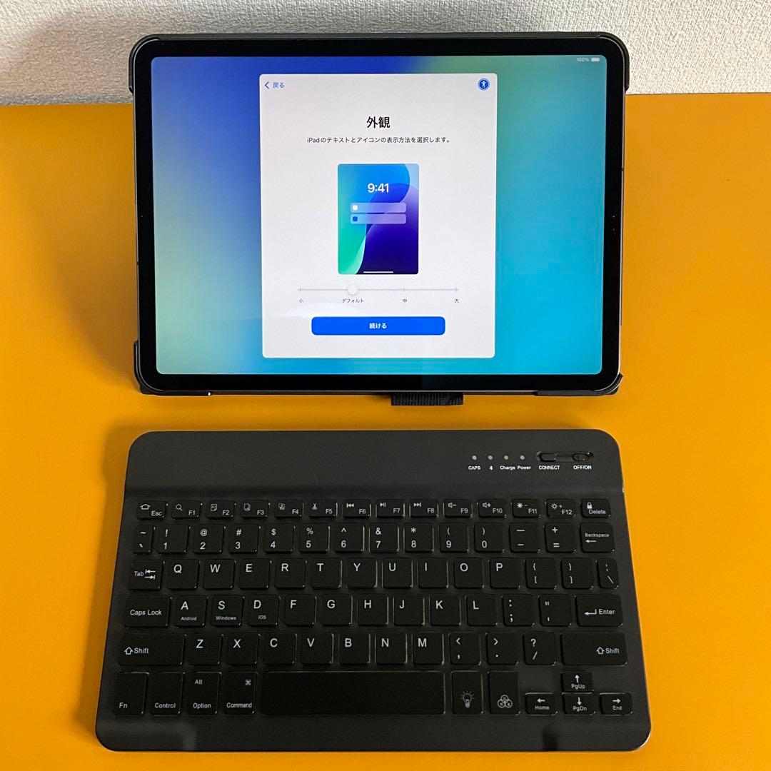 極美品 iPadPro11 第一世代 256GB セルラー キーボード付き