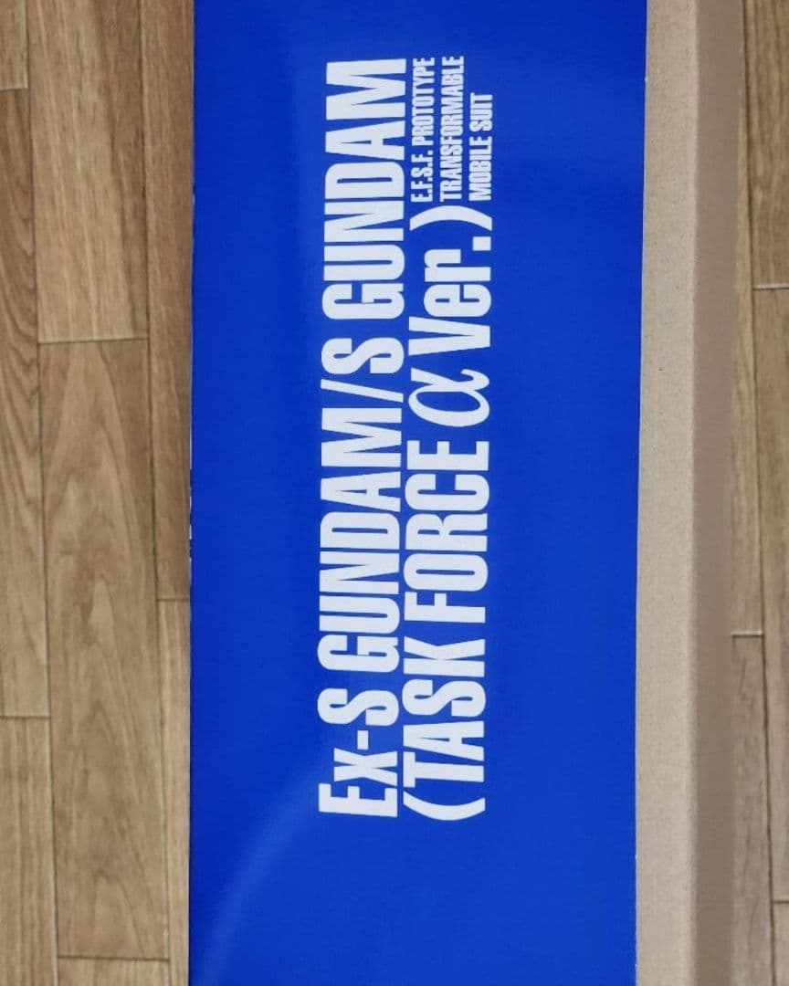 ＭＧ 1/100 Ｅｘ-Ｓガンダム/Ｓガンダム (タスクフォースα Ｖｅｒ.)