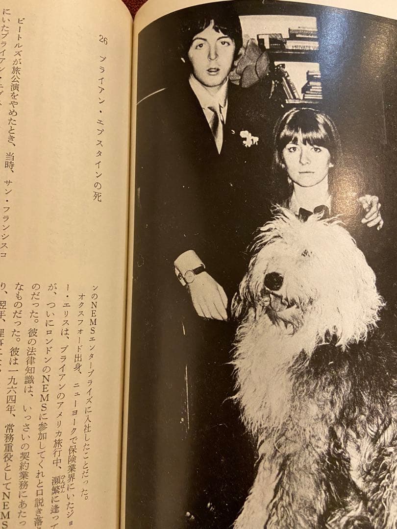 The Beatles ザ・ビートルズ　ハンターデイビス著