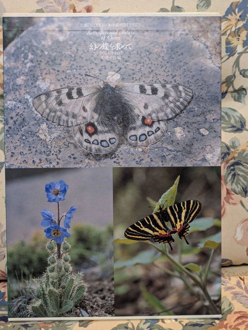 語学・辞書・学習参考書 Butterflies and Moths of China