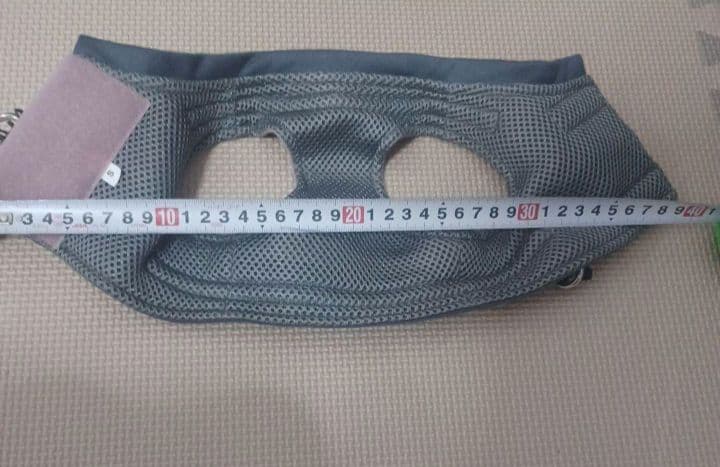 子犬セット　Wi-Fiペットカメラおまけ