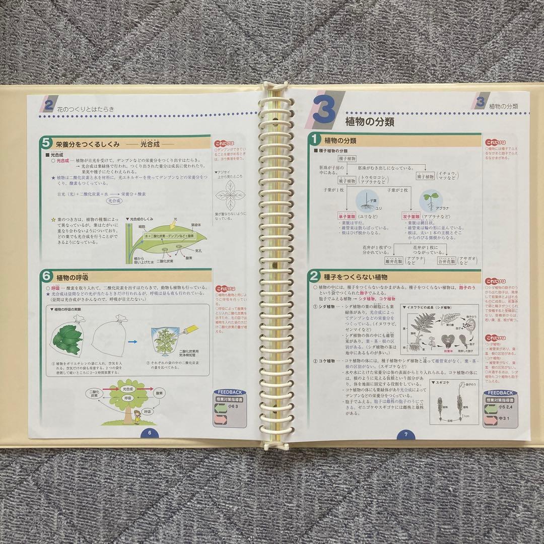 パステム　9教科　中学講座　受験対策