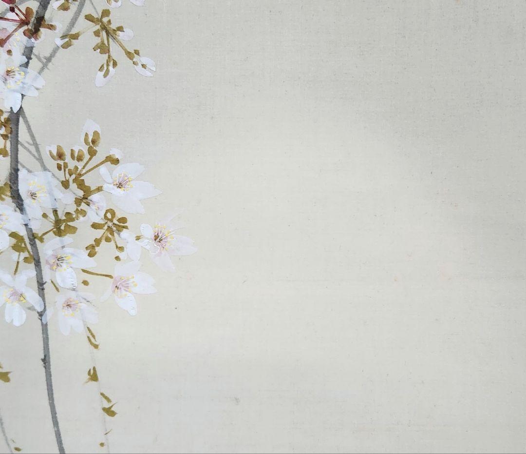 【朧月夜桜図】今井景樹 2702 おぼろ月 さくら 共箱 肉筆 掛け軸