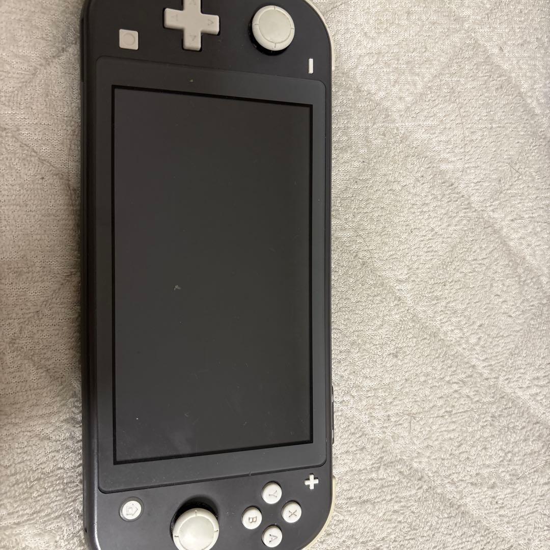 f*a様 Switchライト グレー