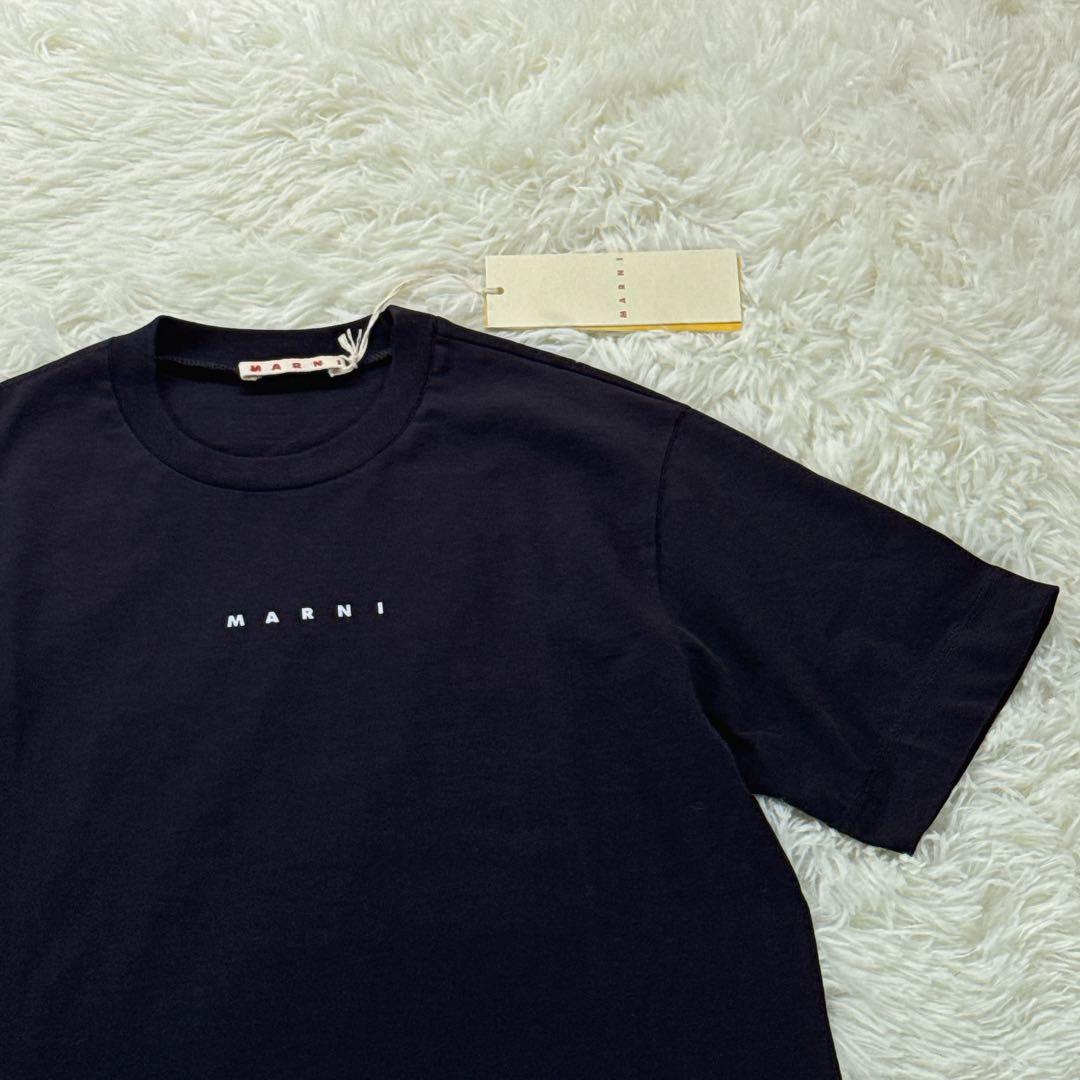 新品タグ付✨ 大人もOK！マルニ　キッズTシャツ　12Y 150 紺 25SS