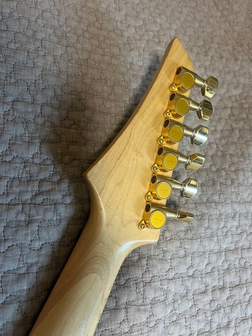 Fernandes フェルナンデス　FGZ-420 グラデーションカラー