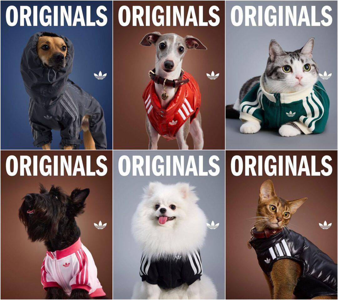 新品 アディダス 犬 猫 ペット adidas pet vest dog cat
