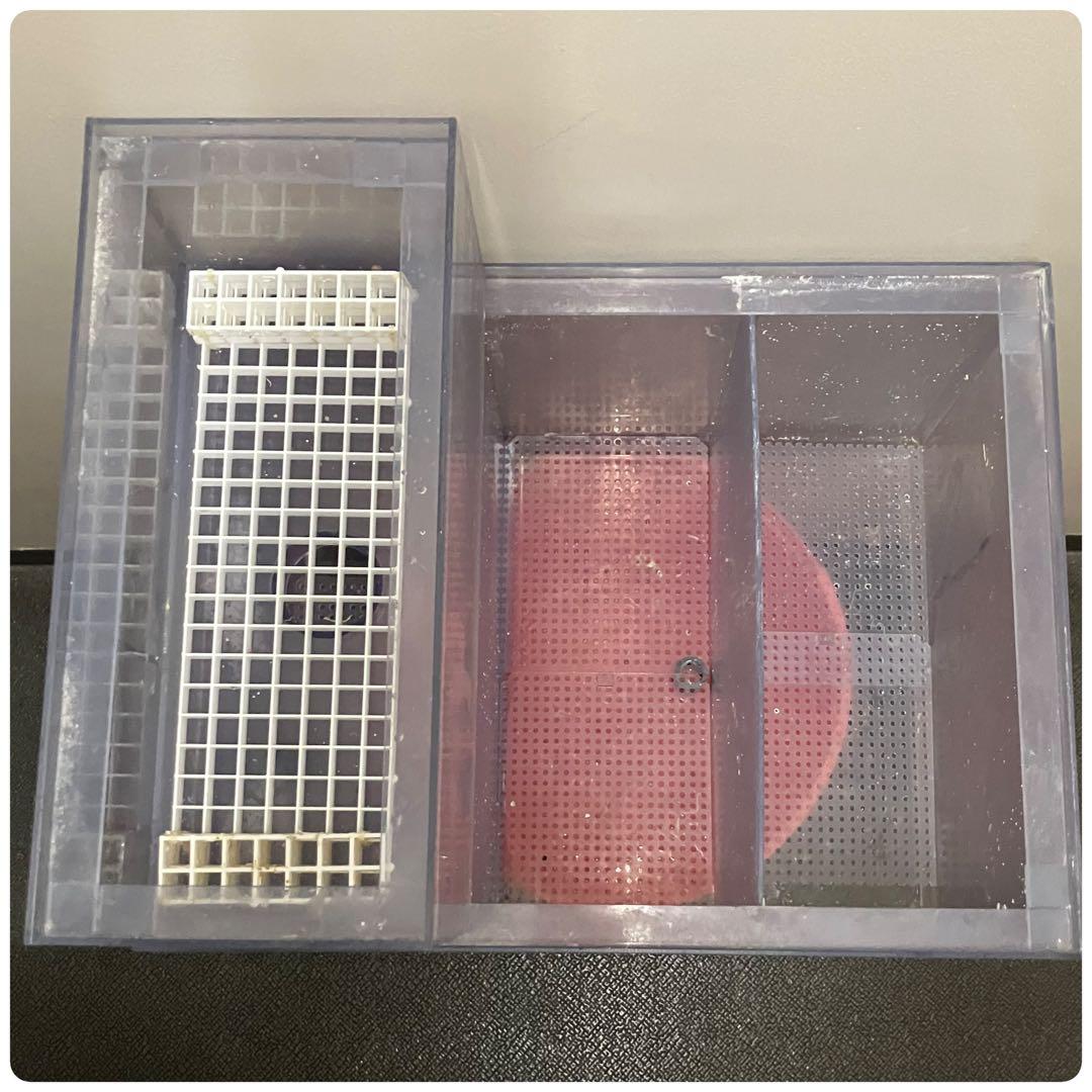 札幌市引き取り限定60cmオーバーフロー水槽セット