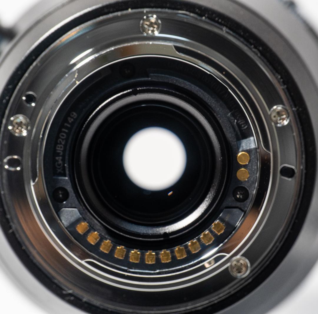 レンズ(ズーム) LEICA DG VARIO 100-400mm II H-RSA100400