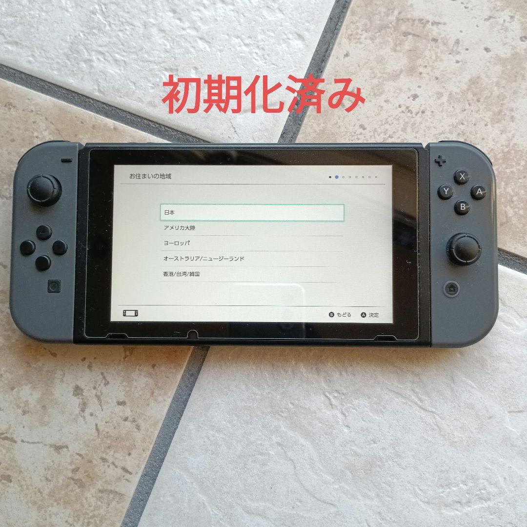任天堂Switch本体　付属品　冷却ファン付きドッグ　別売りケース　グレー